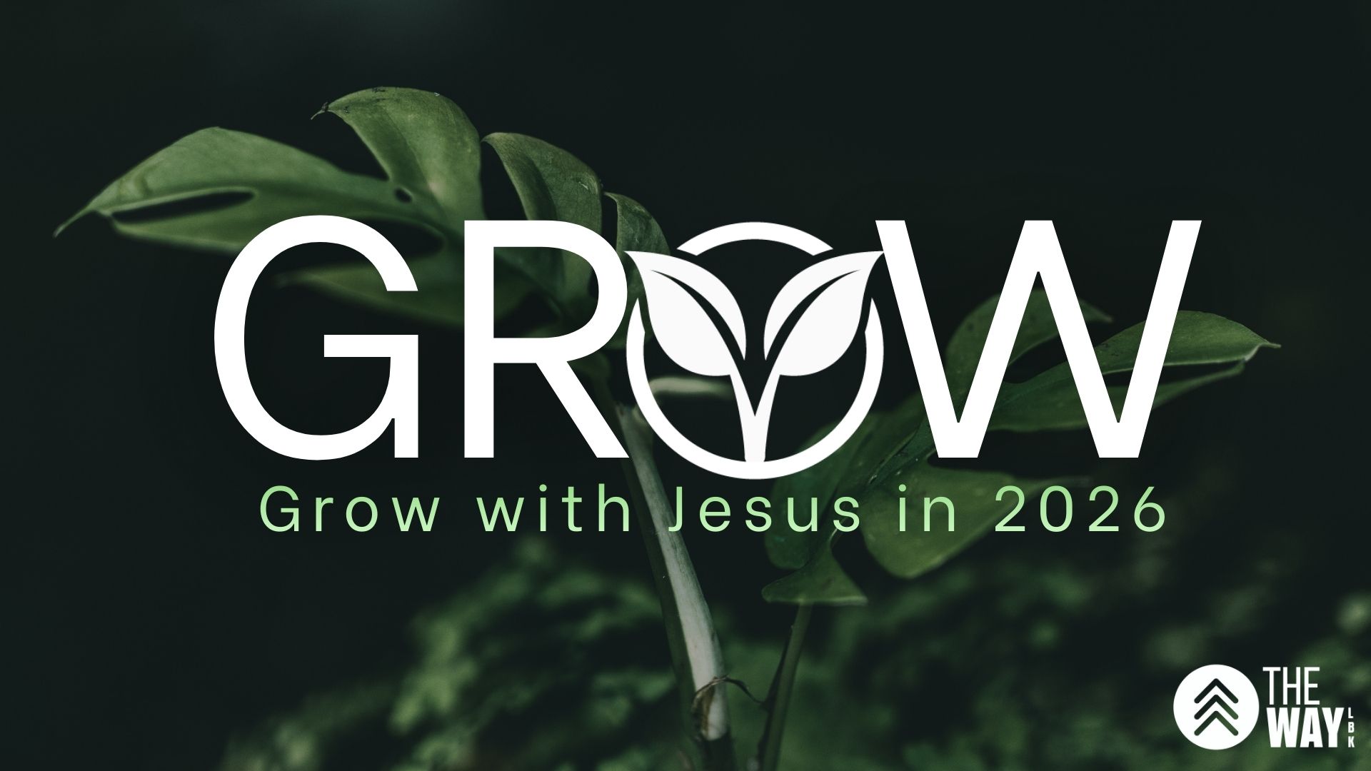 Grow: Believer or Disciple?